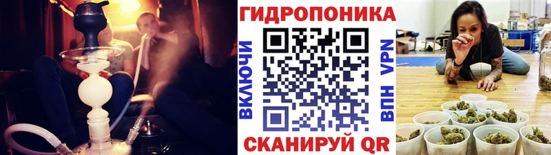 Шишки марихуана планчик  продажа наркотиков  Чебаркуль 